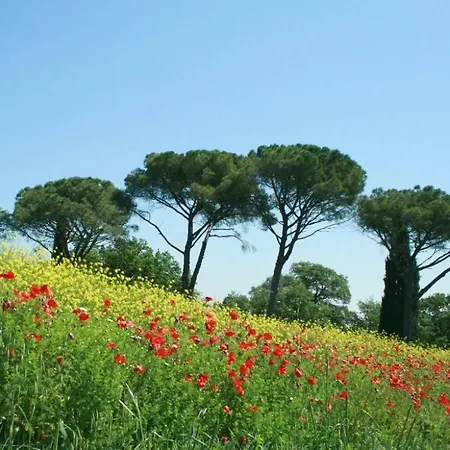 Caioncola Sleeps 6 Pool Wifi T763577 * Ravigliano